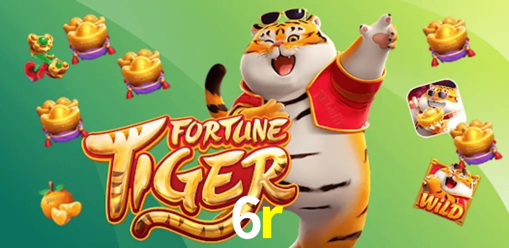 Experiência VIP 6r